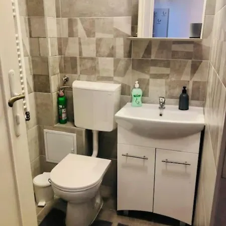 Joy Colonel Enescu 3 *