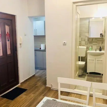 Διαμέρισμα Joy Colonel Enescu 3 *