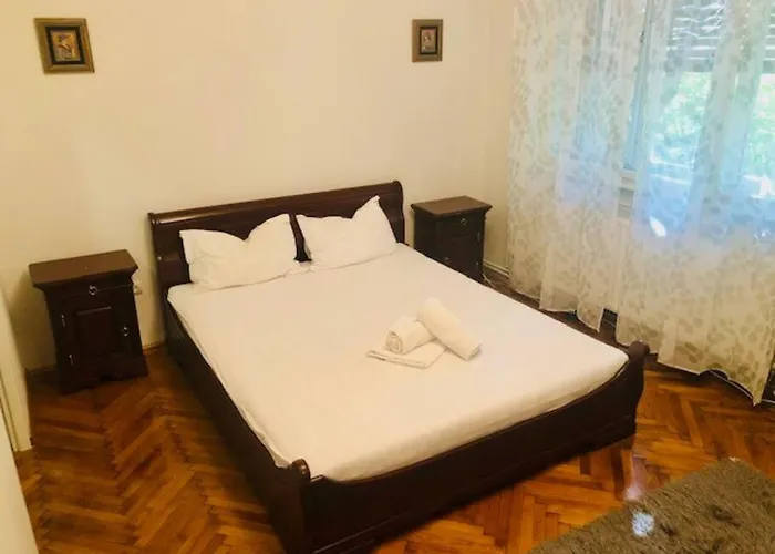 Apartment Joy Colonel Enescu 3 *