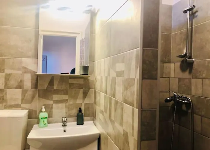 Apartment Joy Colonel Enescu 3 *