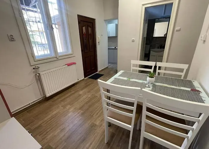 Joy Colonel Enescu 3 Apartment Timisoara