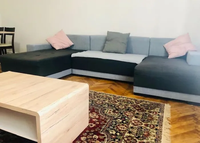 Joy Colonel Enescu 3