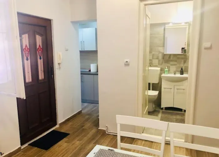 Apartment Joy Colonel Enescu 3 *