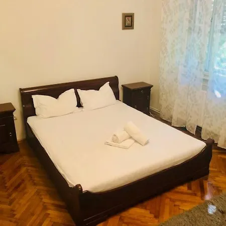 Apartment Joy Colonel Enescu 3 *