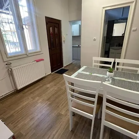 Joy Colonel Enescu 3 Apartment Timisoara