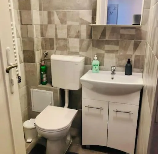 Joy Colonel Enescu 3 *