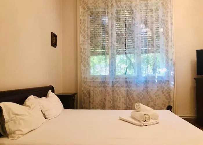 Joy Colonel Enescu 3 Timişoara