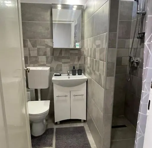 Joy Colonel Enescu 3 Timişoara