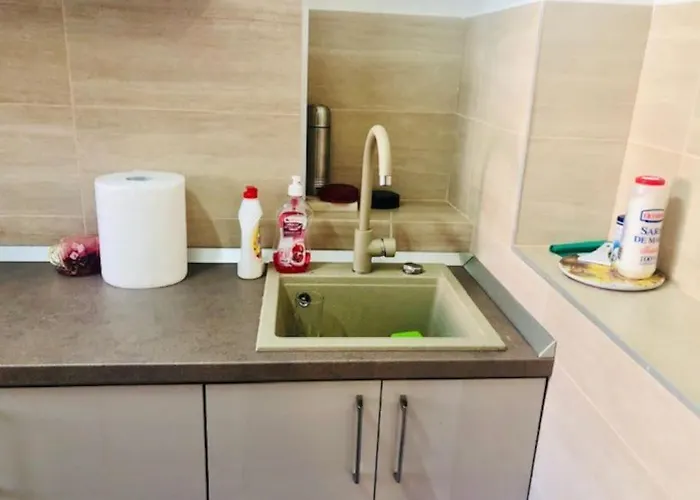 Joy Colonel Enescu 3 Apartment *